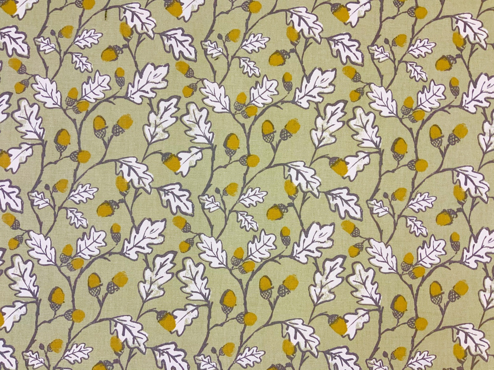 Clarke & Clarke Acorn Trail Sage