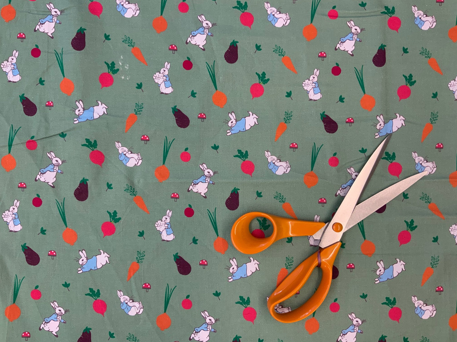 P123 Peter Rabbit 5 A Day