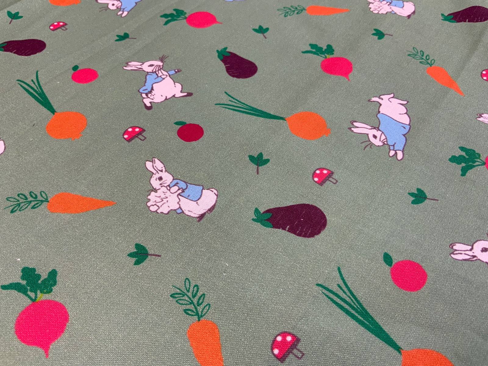 P123 Peter Rabbit 5 A Day