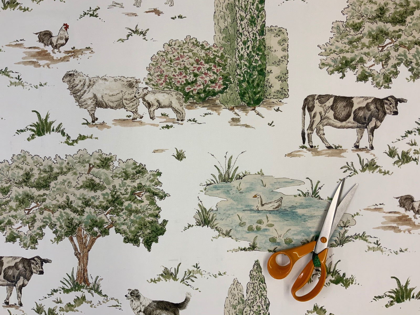 S153 Down On The Farm