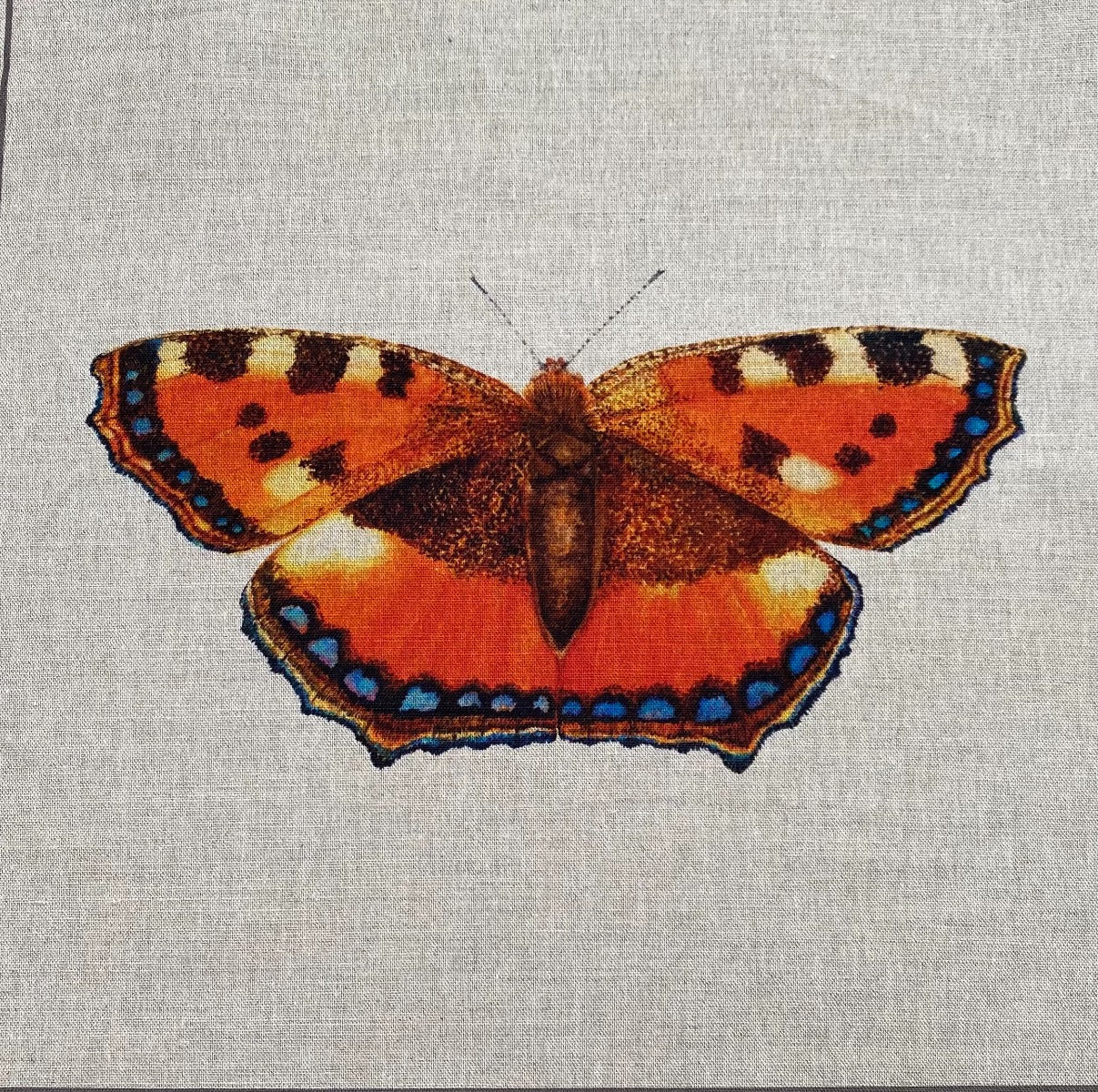 Tortoiseshell British Butterflies Cushion Panel
