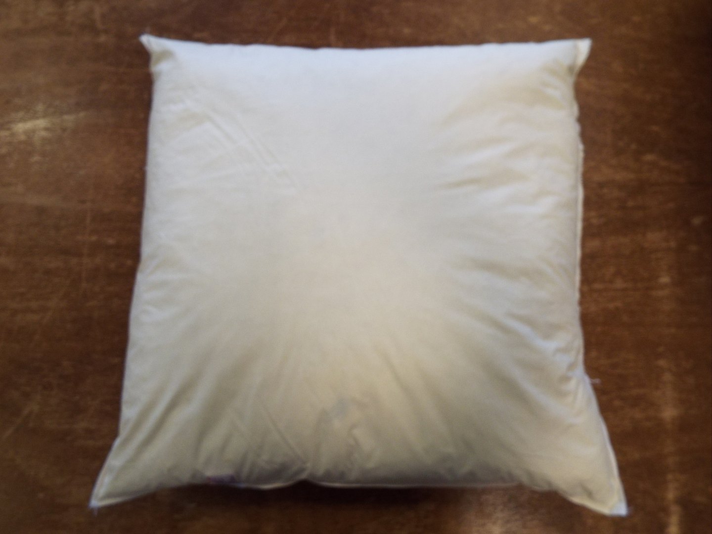 24" Feather Cushion Pad