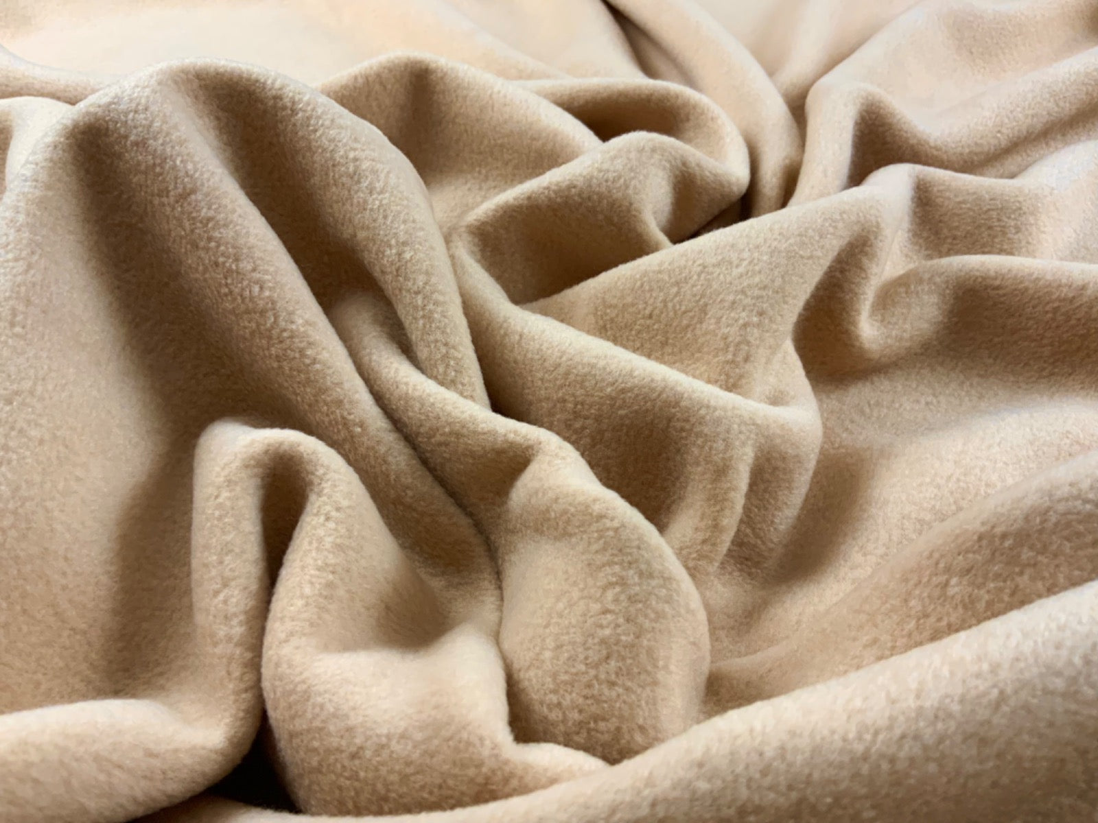 Beige Polar Fleece Fabric ES012
