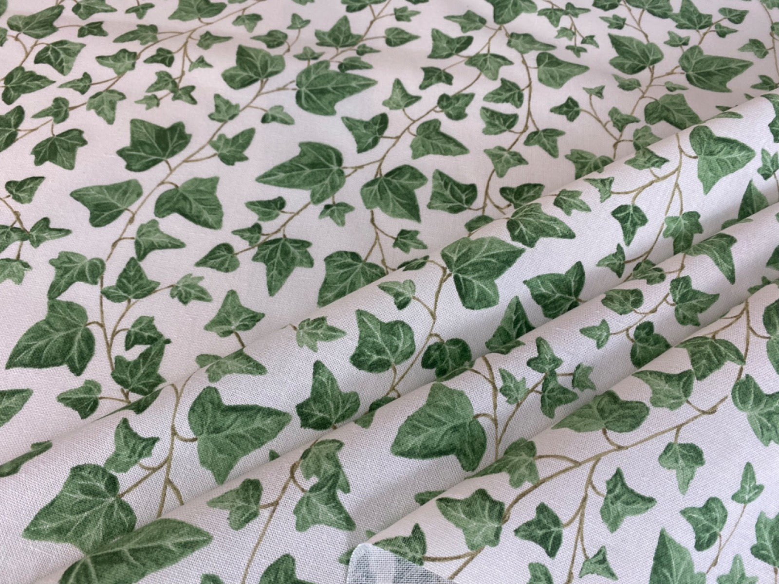 T527 Ivy Branch Off White