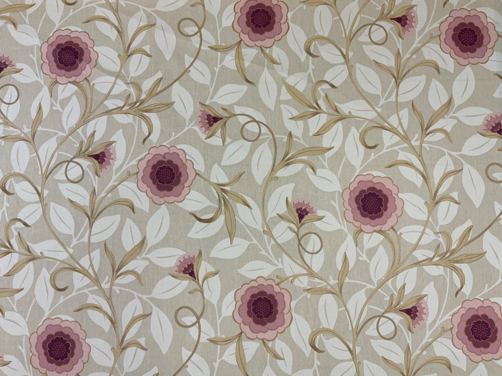 Tex Ex 2673 Crowson Camellia