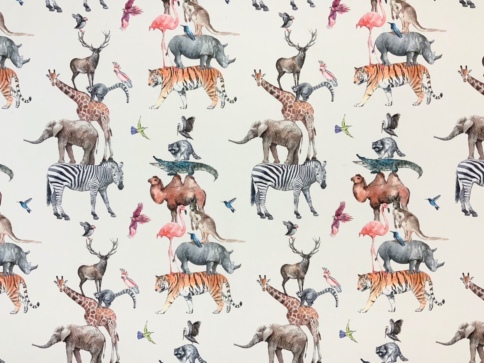 Prestigious Animal Kingdom Rainbow