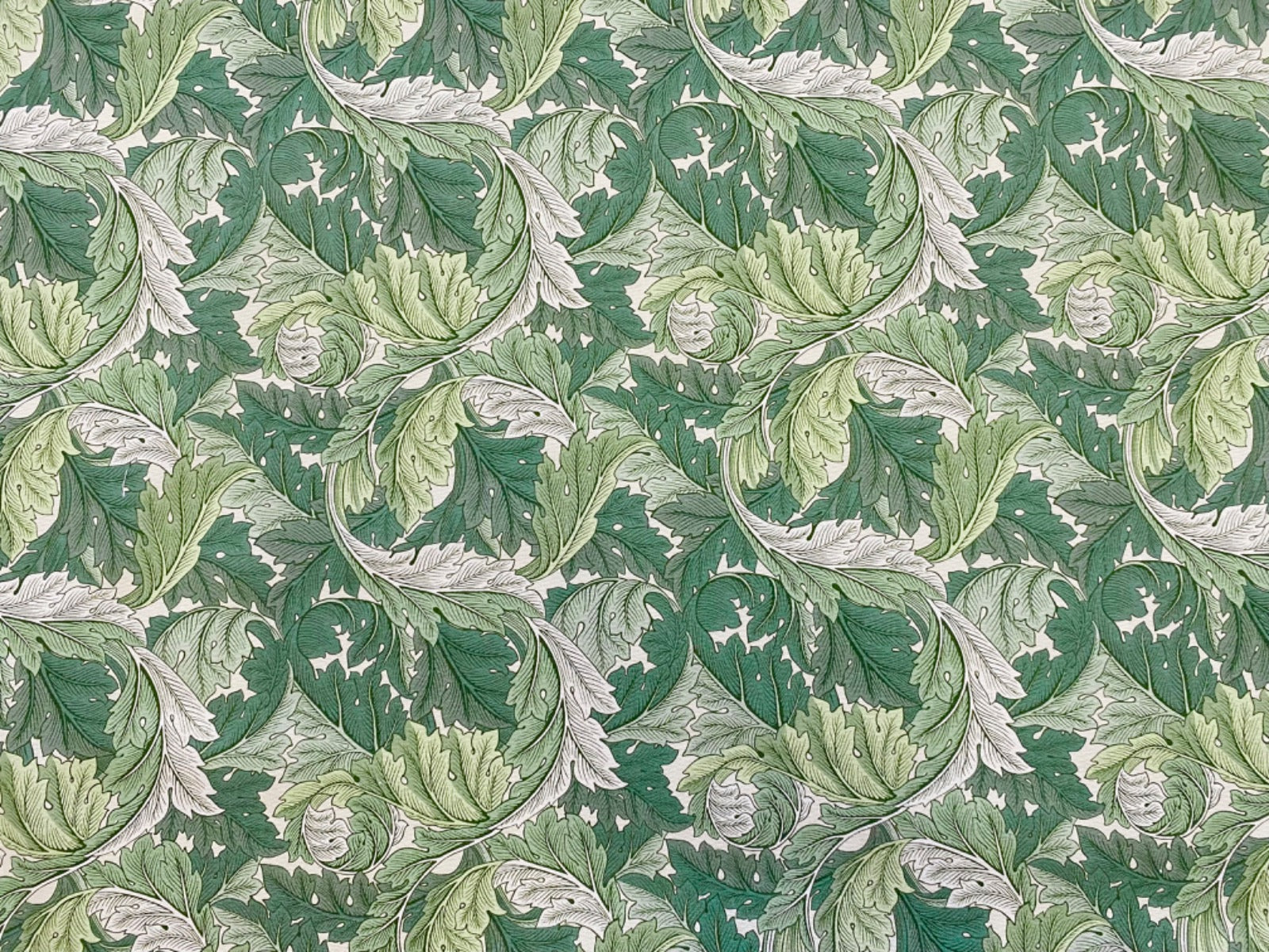 Clarke & Clarke Acanthus Apple Sage