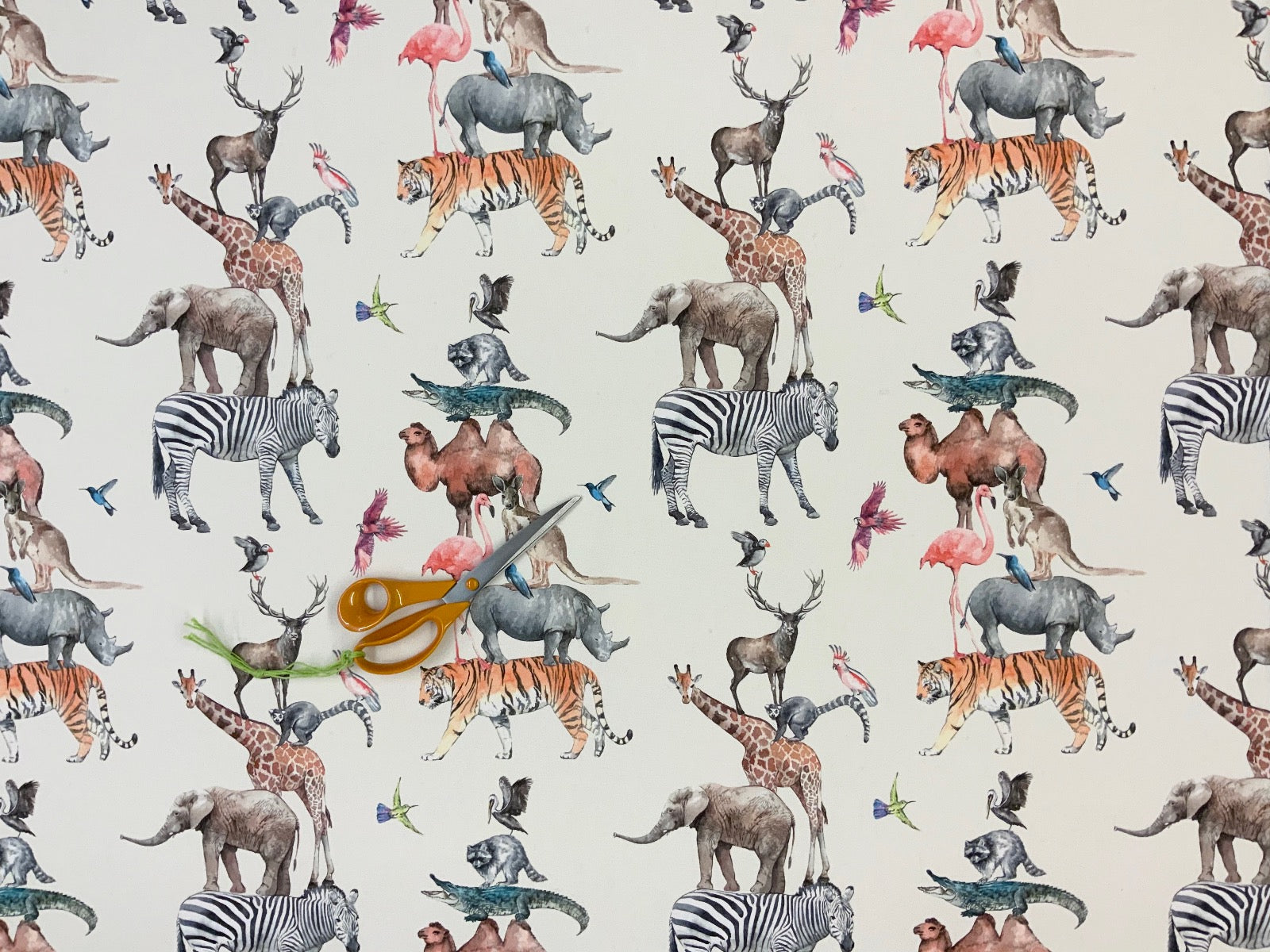 Prestigious Animal Kingdom Rainbow