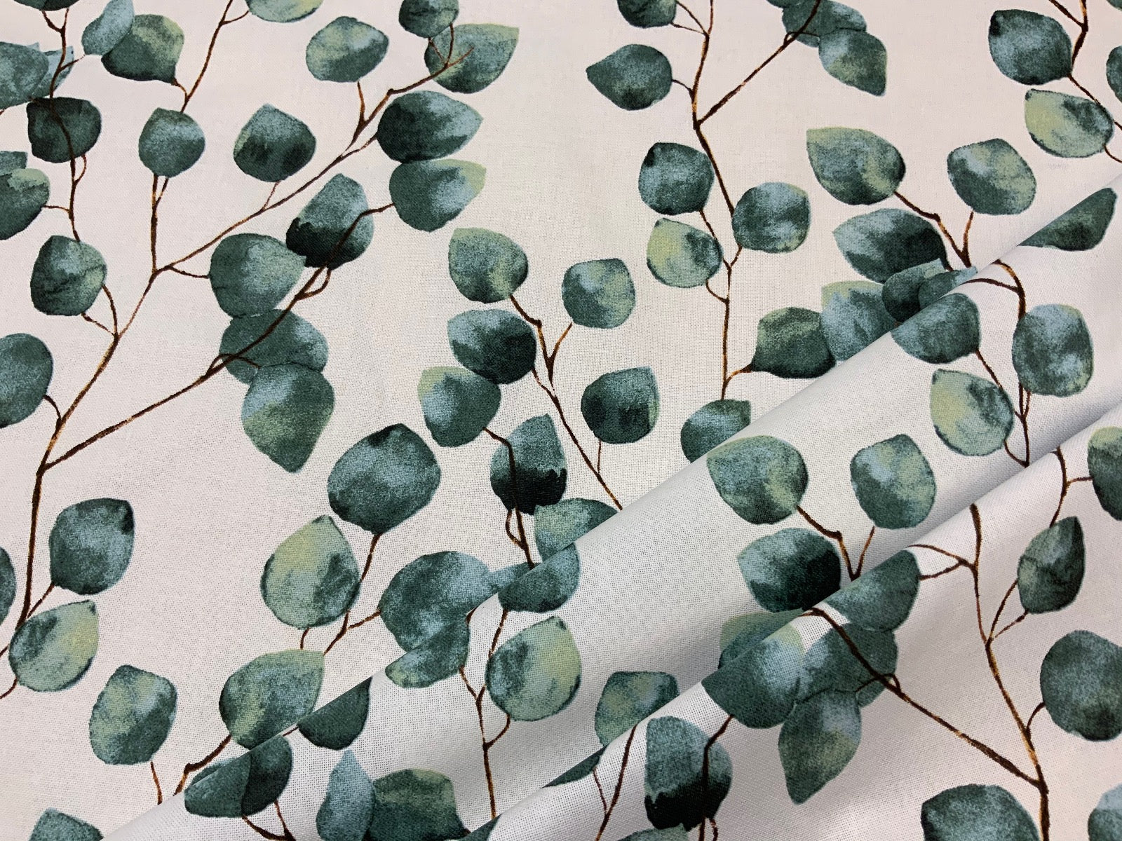 T383 Trailing Eucalyptus Ivory