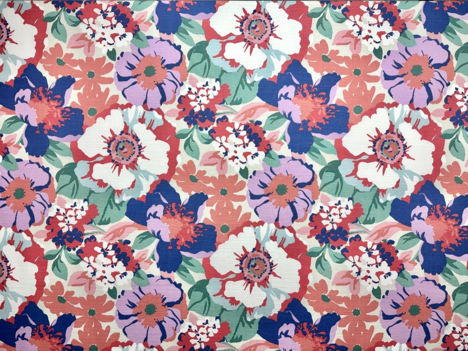 Tex Ex 2784 Zumba Raspberry