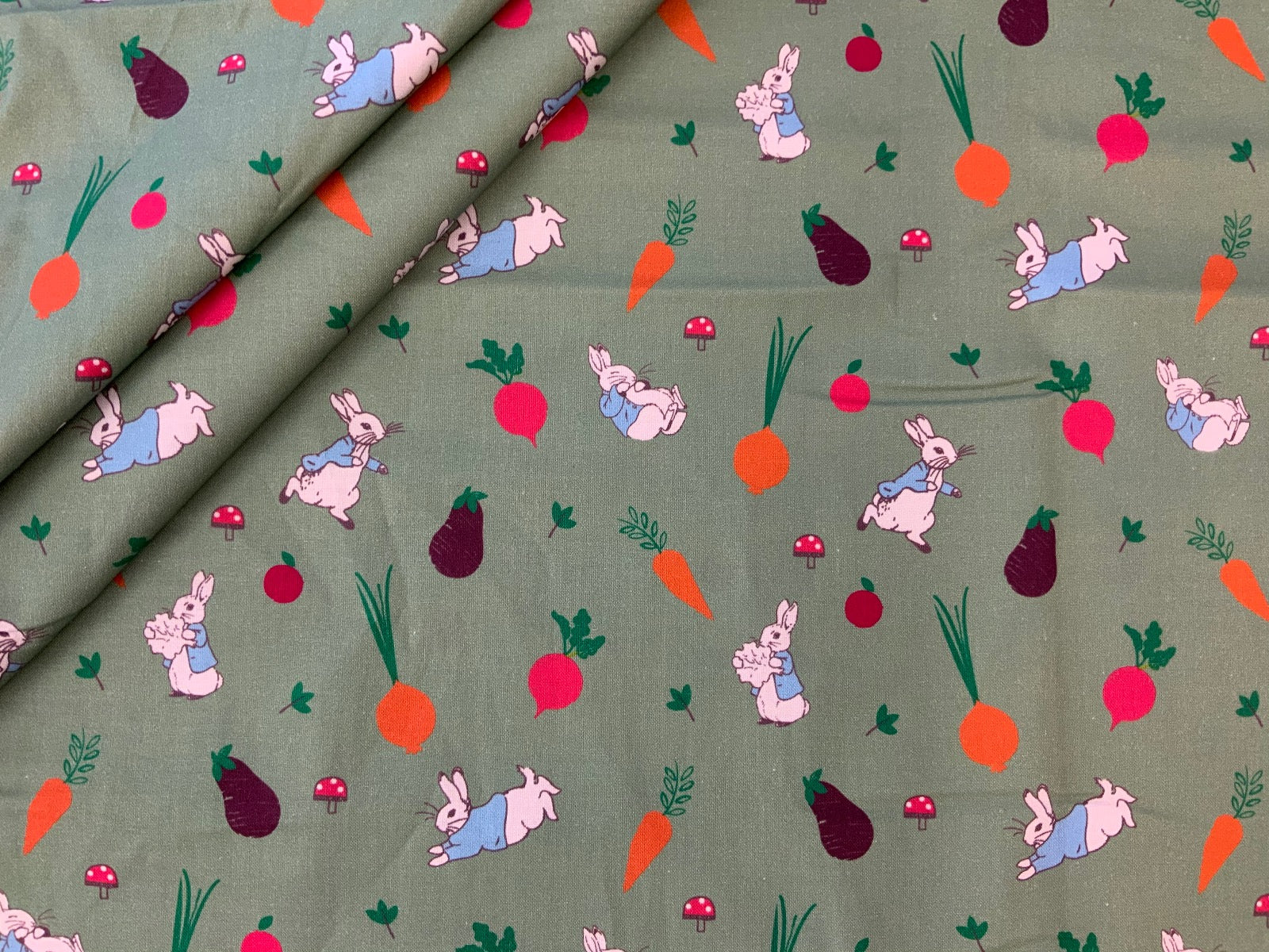 P123 Peter Rabbit 5 A Day