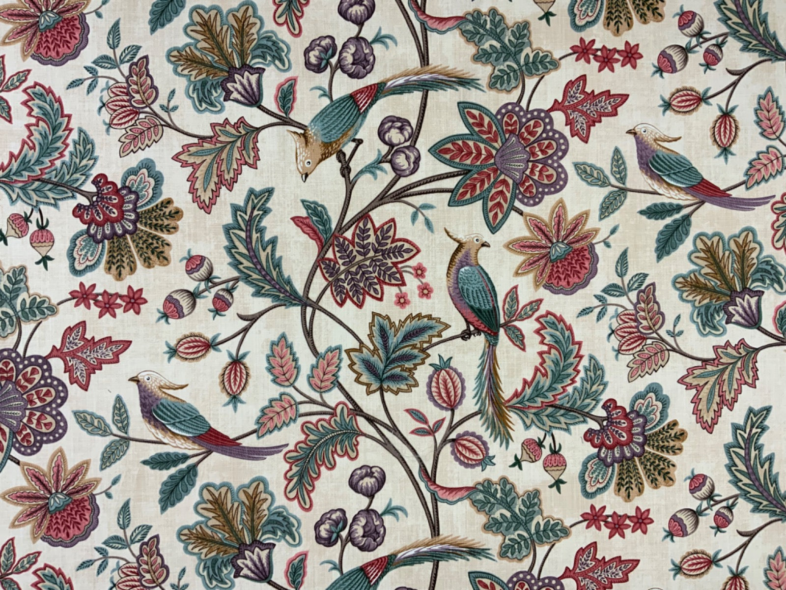 iLiv Chanterelle Wineberry