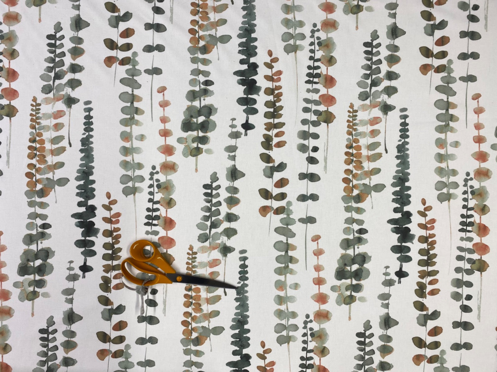 Prestigious Santa Maria Passion Flower