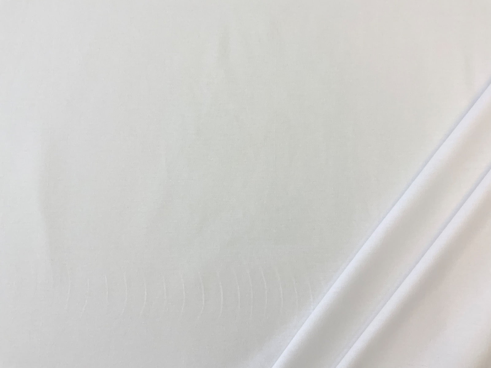 Tex Ex 2641 Wide Cotton Jersey White
