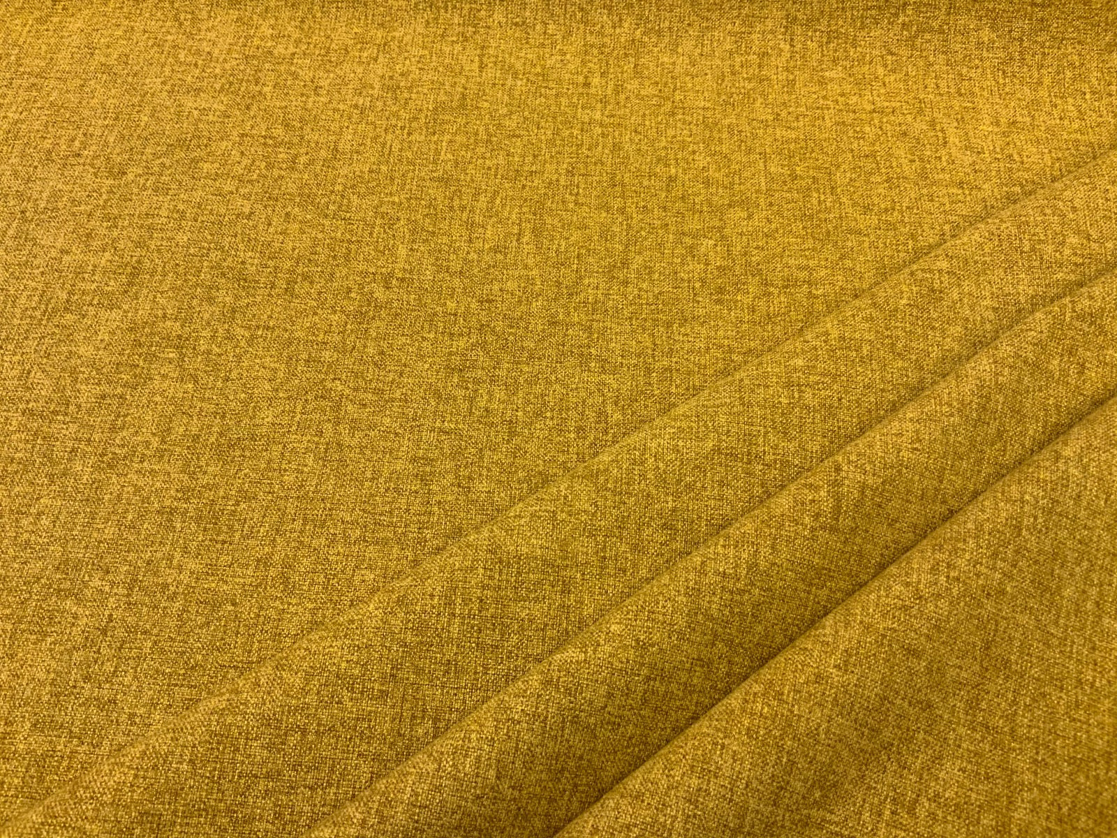 Clarke & Clarke Highlander Palm