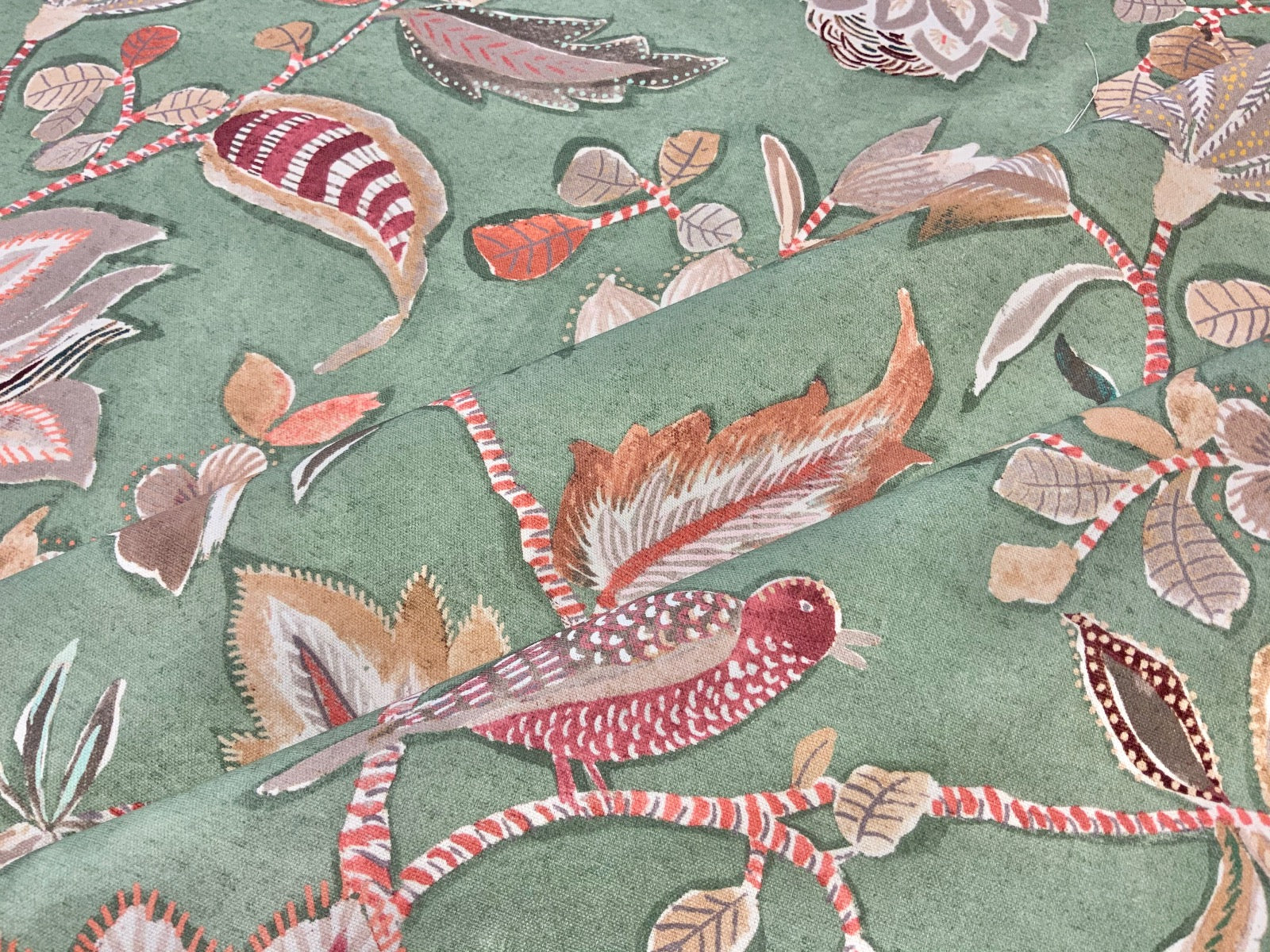 Prestigious Azalea Fennel