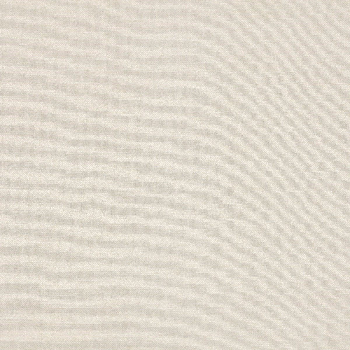 Prestigious Lisbon Oyster