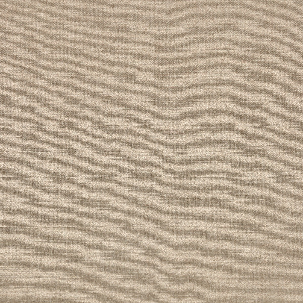 Prestigious Lisbon Fawn