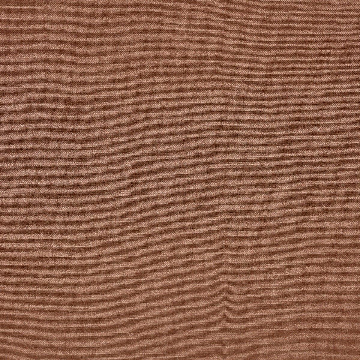 Prestigious Lisbon Nutmeg