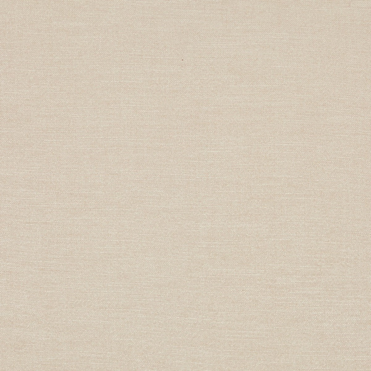 Prestigious Lisbon Biscotti