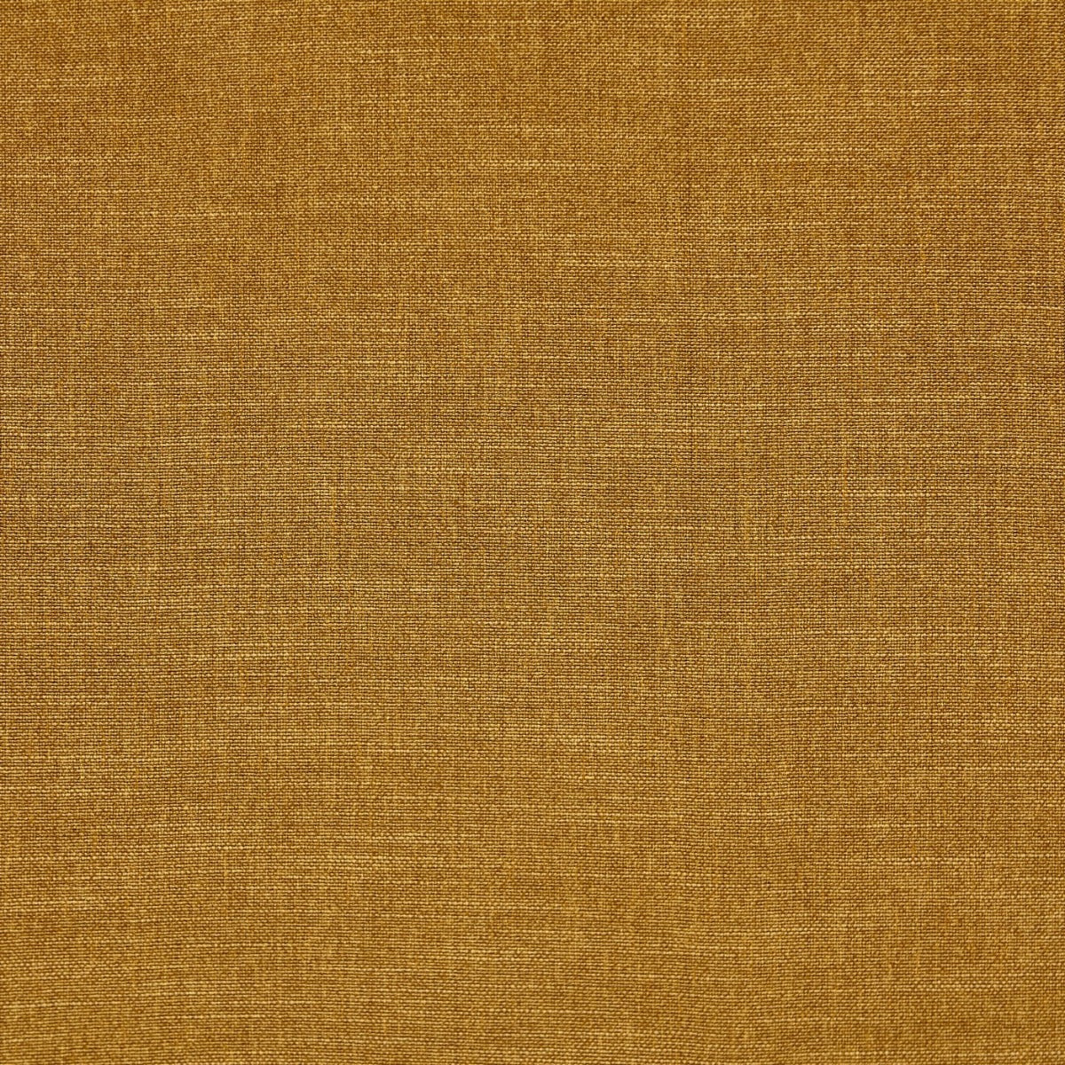 Prestigious Lisbon Honey