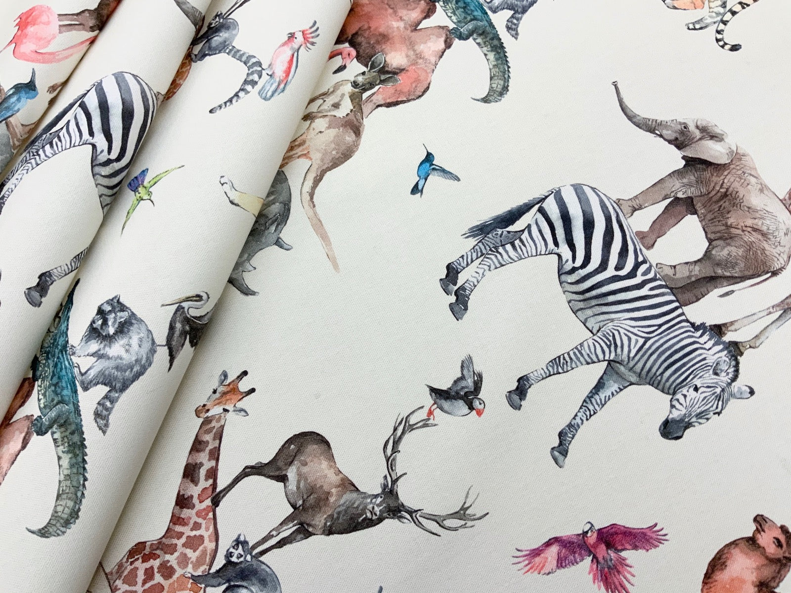 Prestigious Animal Kingdom Rainbow