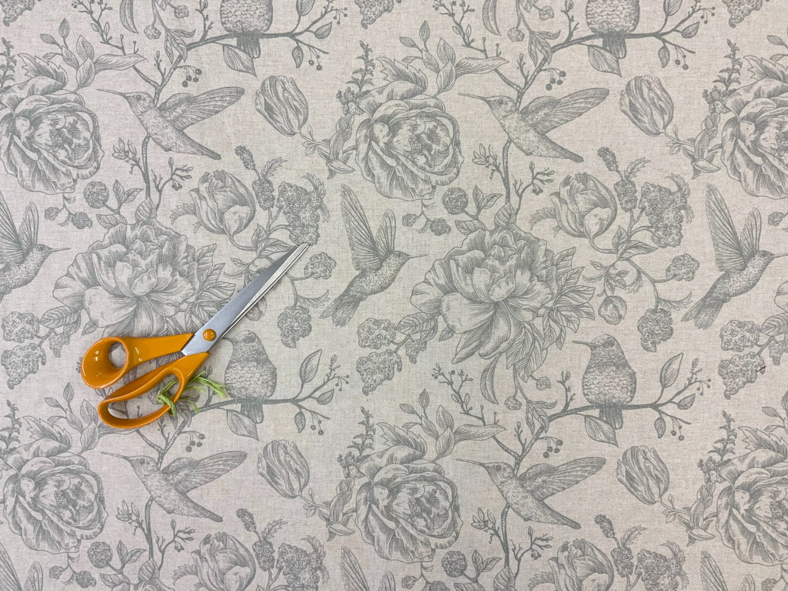 E173 Hummingbird Sketch Grey