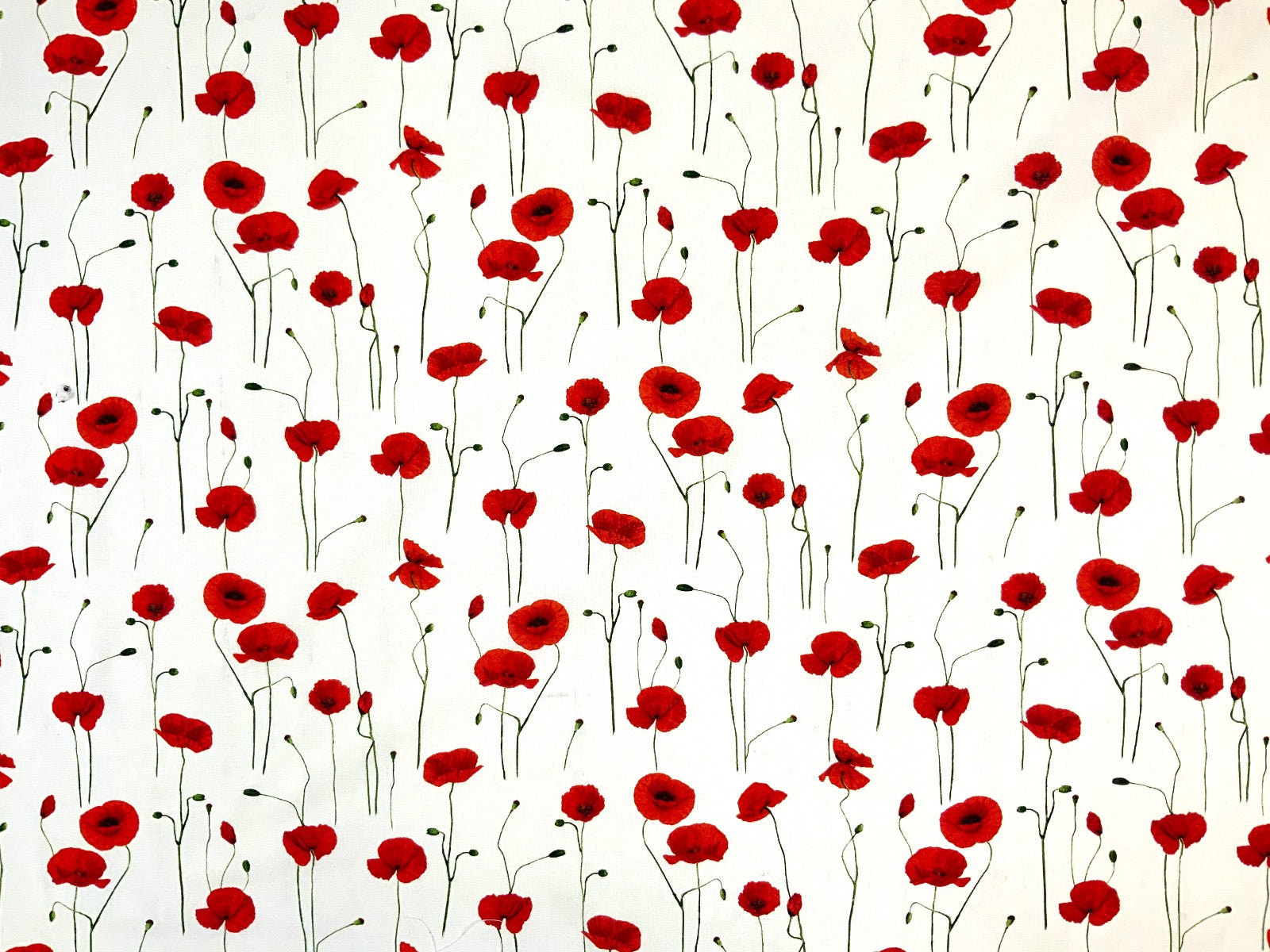 T423 Poppy Fields White