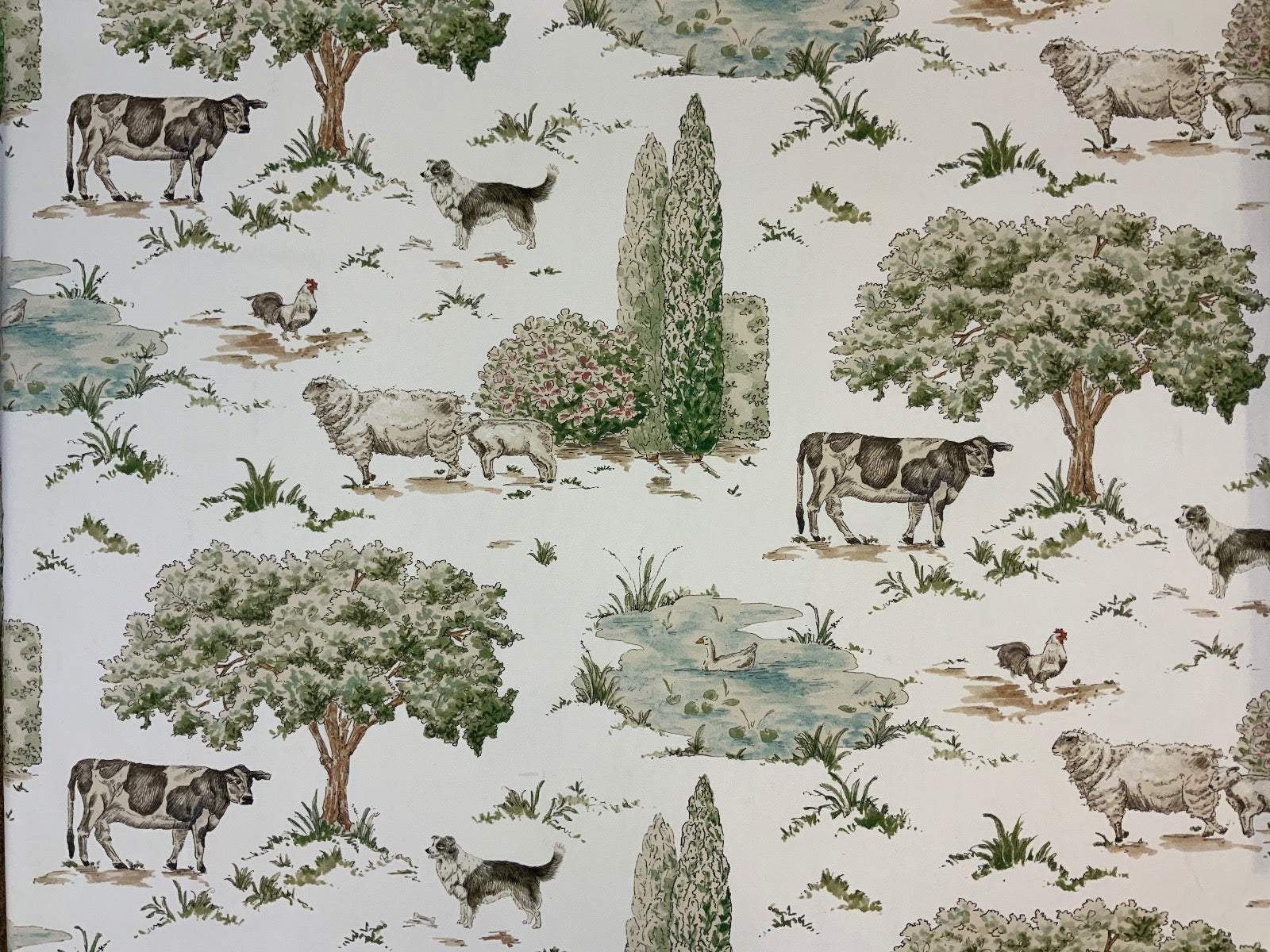 S153 Down On The Farm