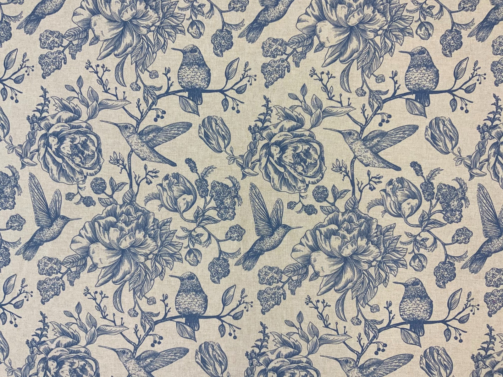 E172 Hummingbird Sketch Blue