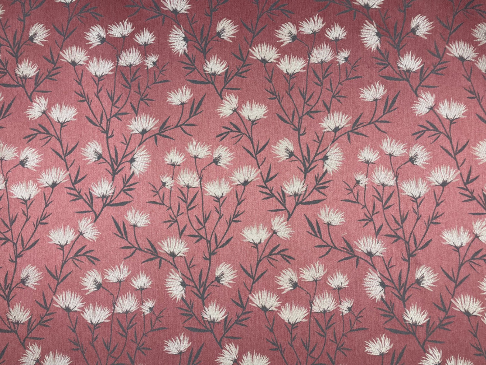 Tex Ex 2743 Dandelion Jacquard Maroon