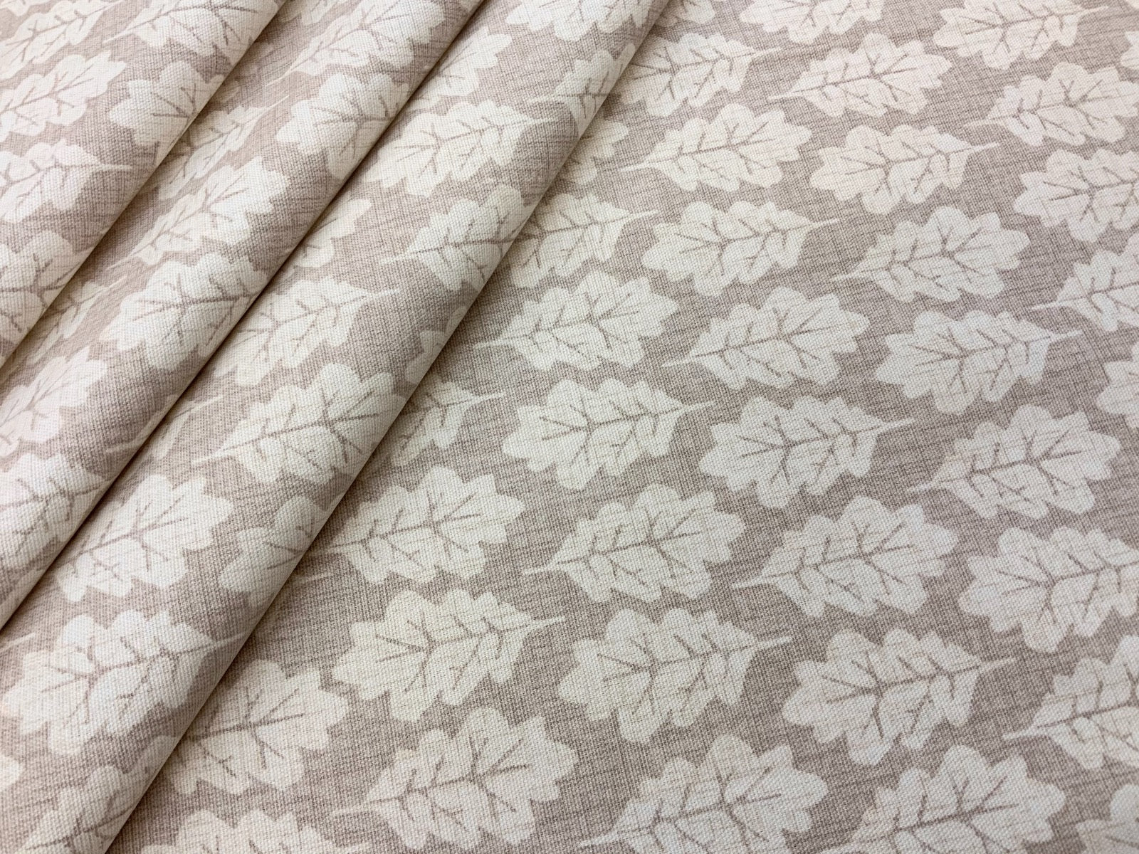 ILiv Oak Leaf Oatmeal