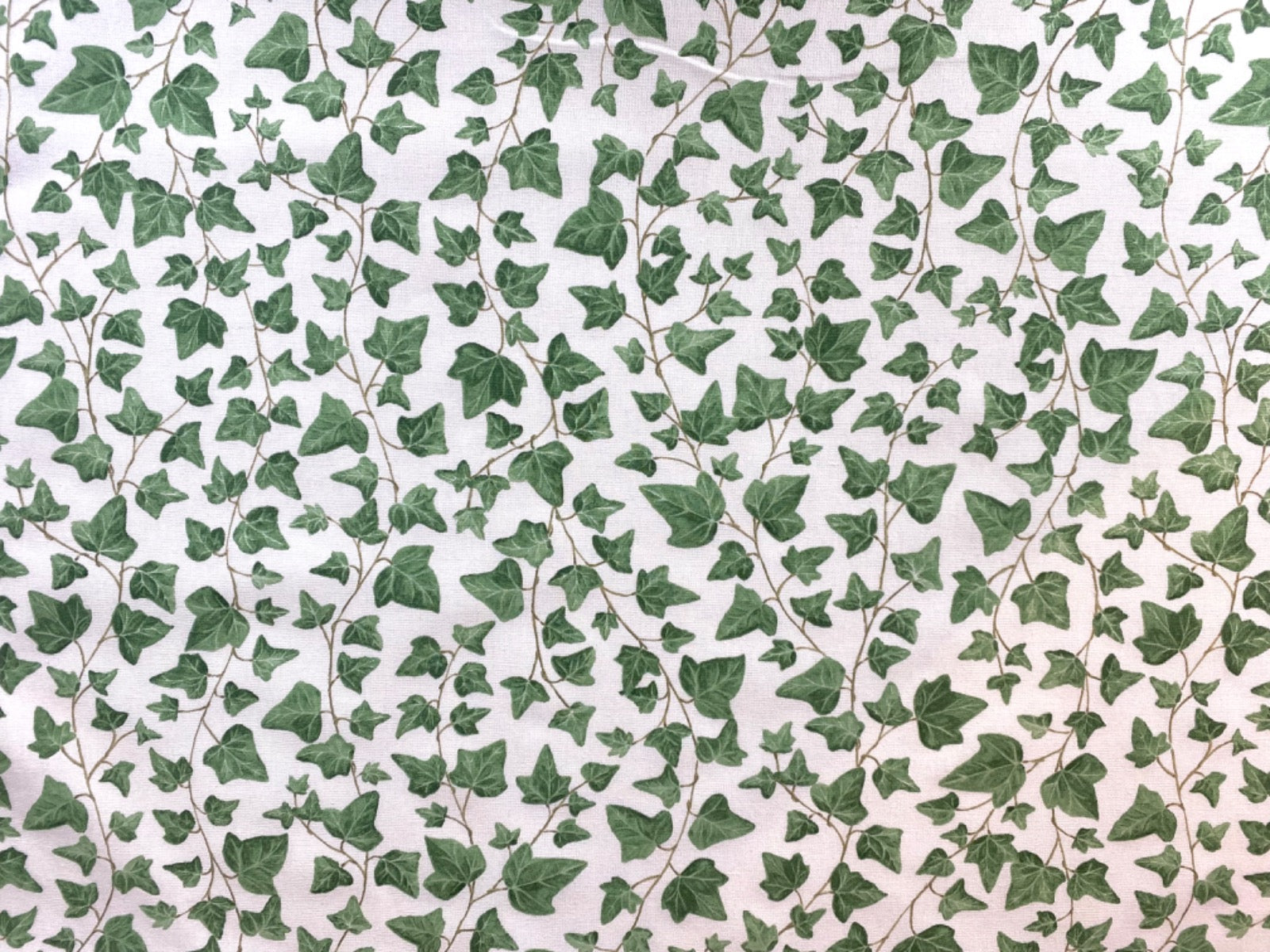 T527 Ivy Branch Off White