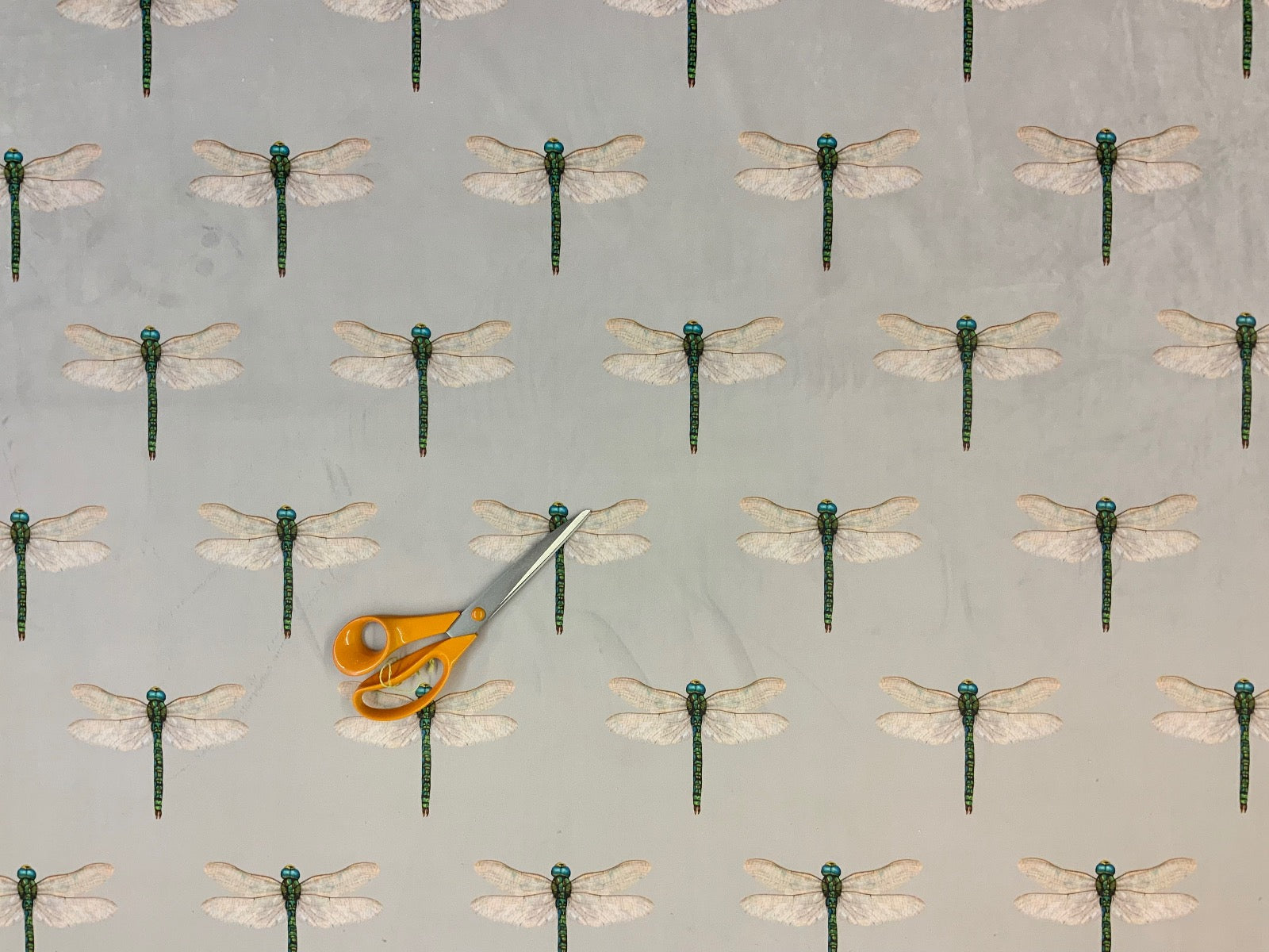 Tex Ex 2554 Dragonfly Collector Velvet Pebble