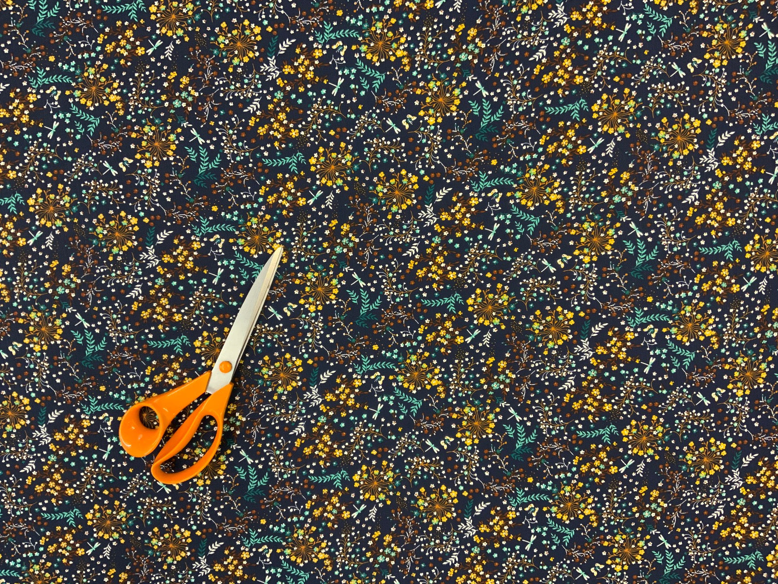 F209 Pandora Midnight