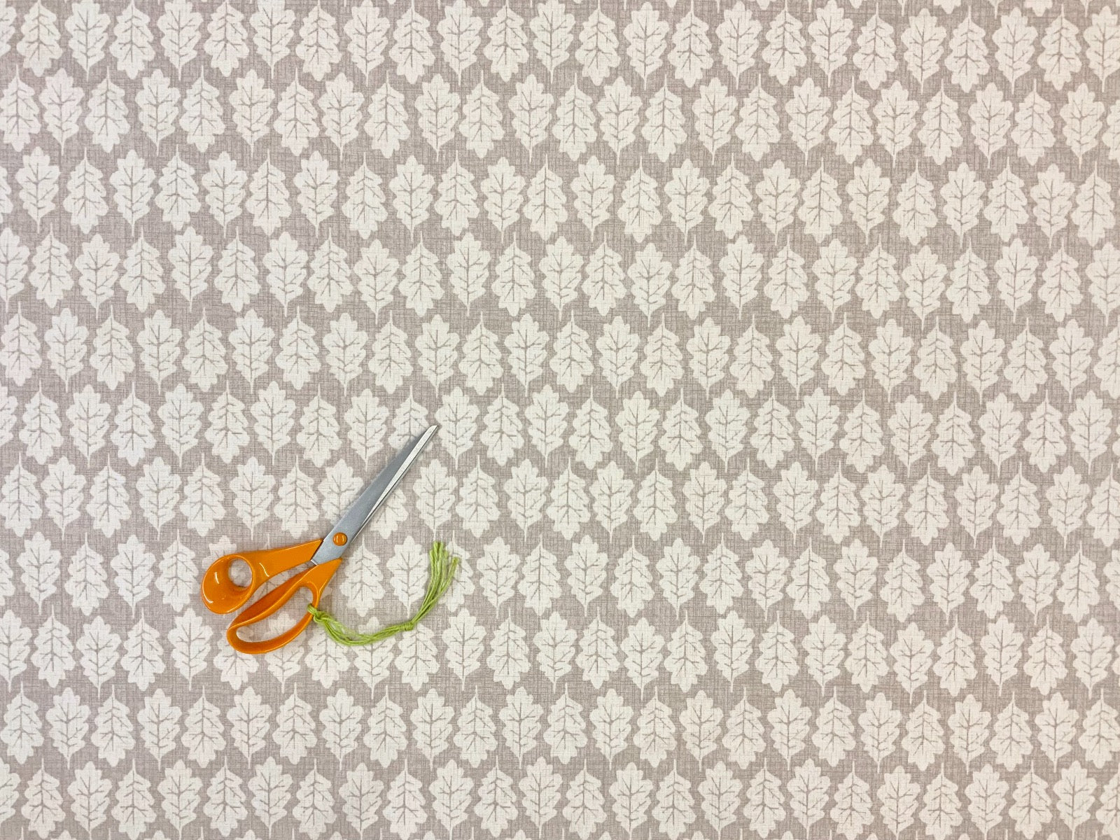 ILiv Oak Leaf Oatmeal