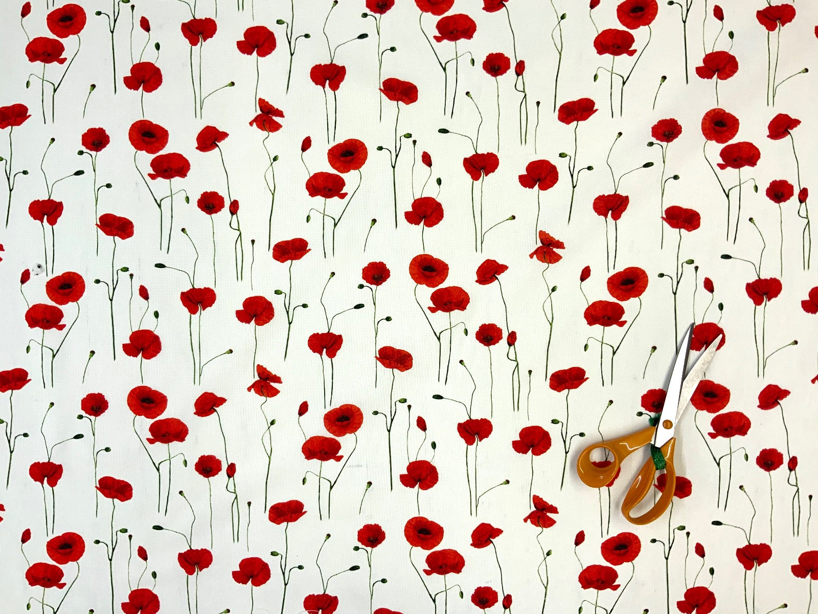 T423 Poppy Fields White
