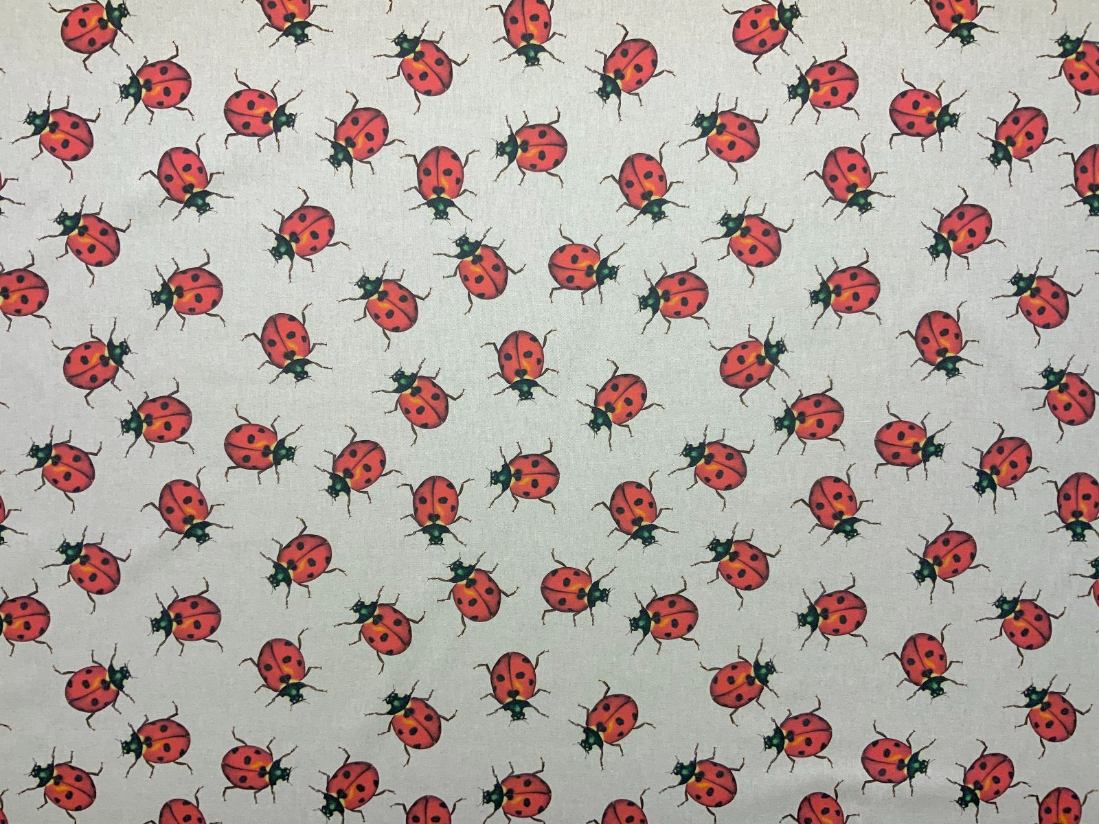 S88 Ladybird Swarm Linen Textile Express Originals