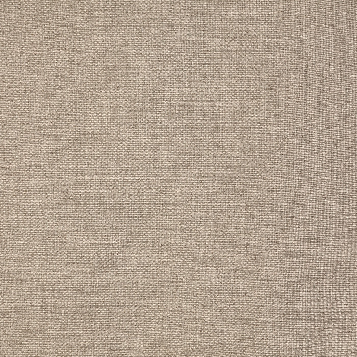 Prestigious Capri Latte