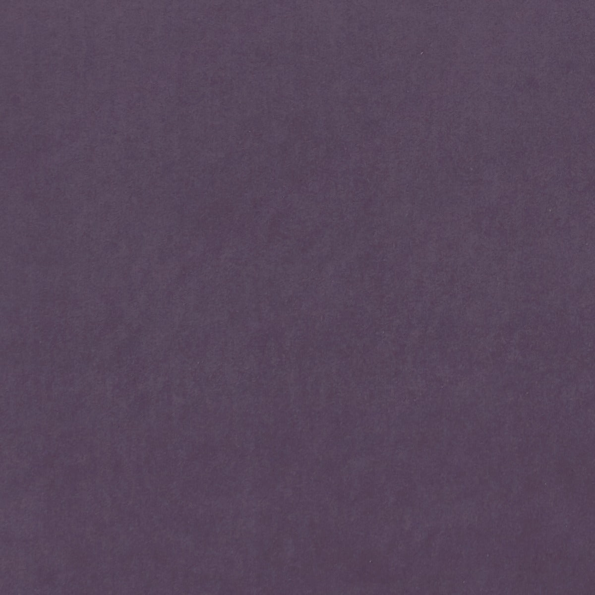 clarke and Clarke alvar grape velvet curtain and upholstery fabric