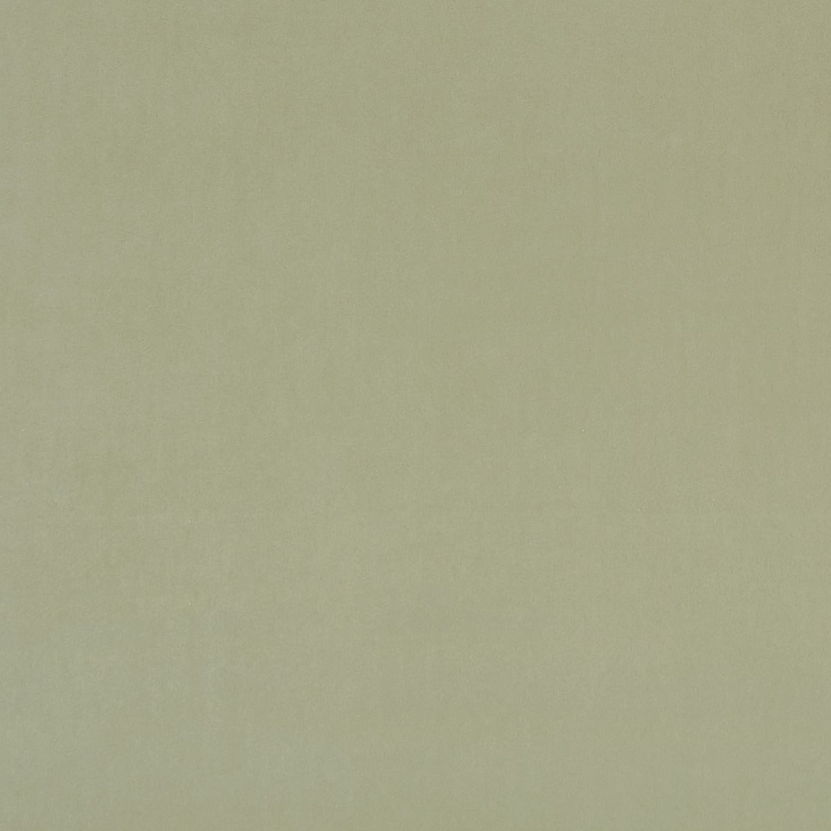 clarke and Clarke alvar thyme velvet curtain and upholstery fabric