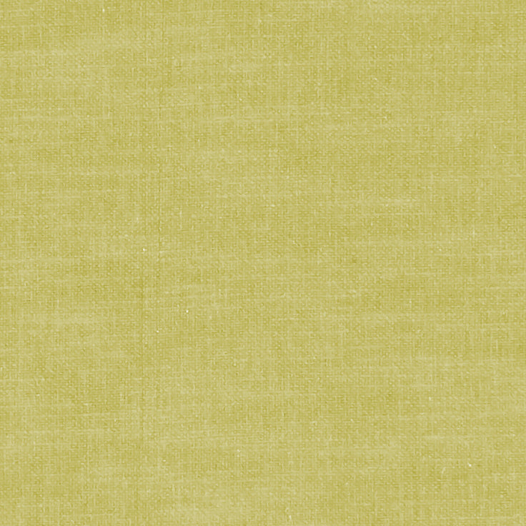 clarke and Clarke amalfi citron fabric
