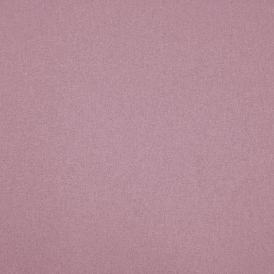 clarke and Clarke highlander orchid close up