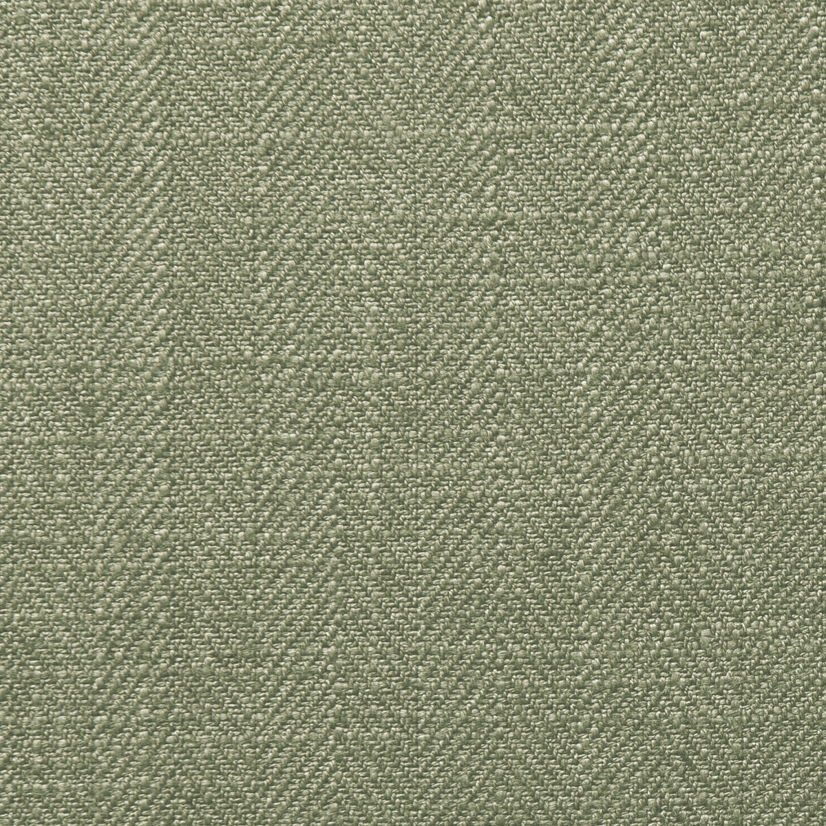 Clarke & Clarke Henley Olive Fabric Swatch