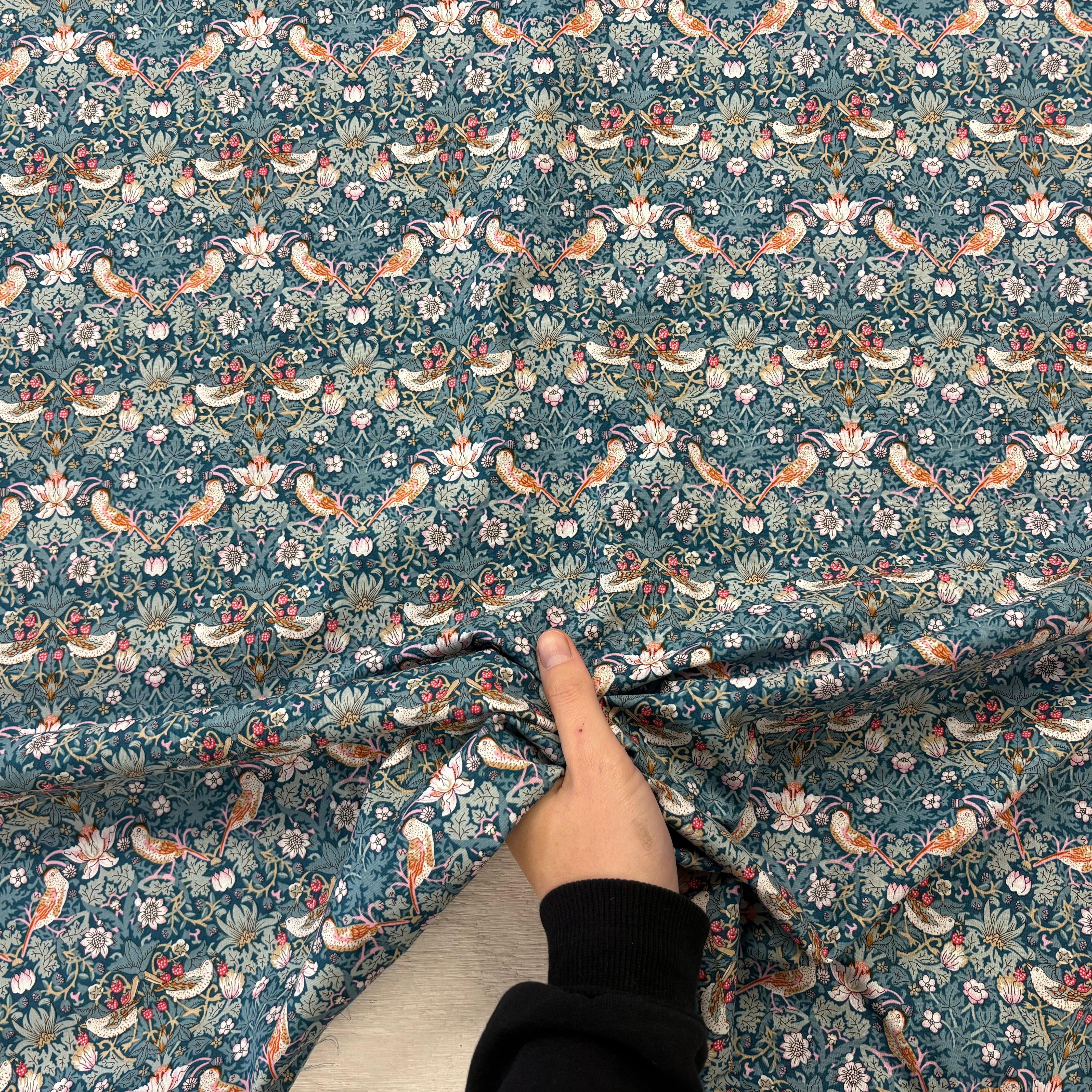 Tex Ex 2725 Hedgerow Birds Navy cotton lawn