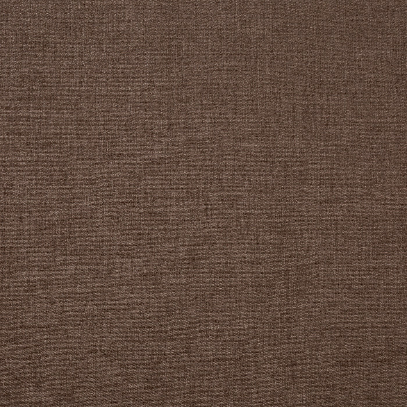 Prestigious Saxon Cappucino Fabric Swatch