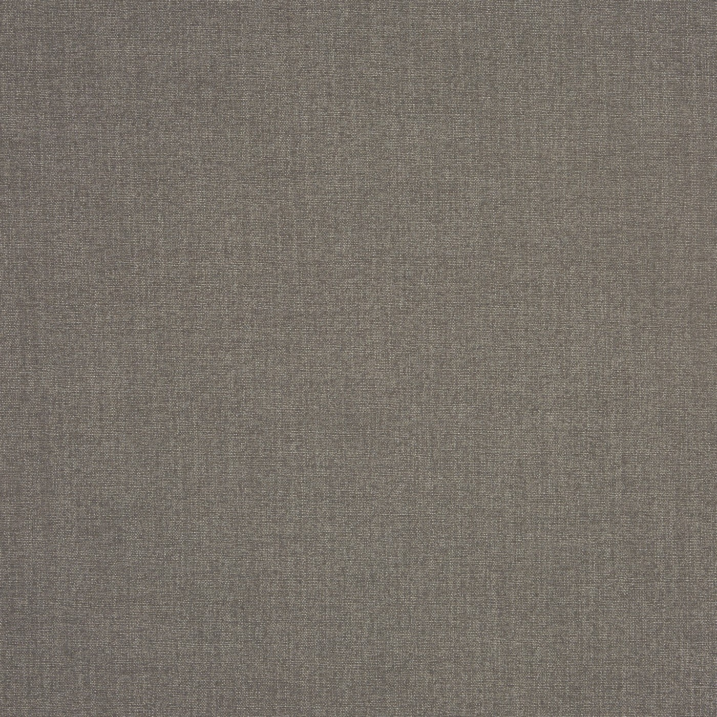 Prestigious Saxon Earth Fabric Swatch