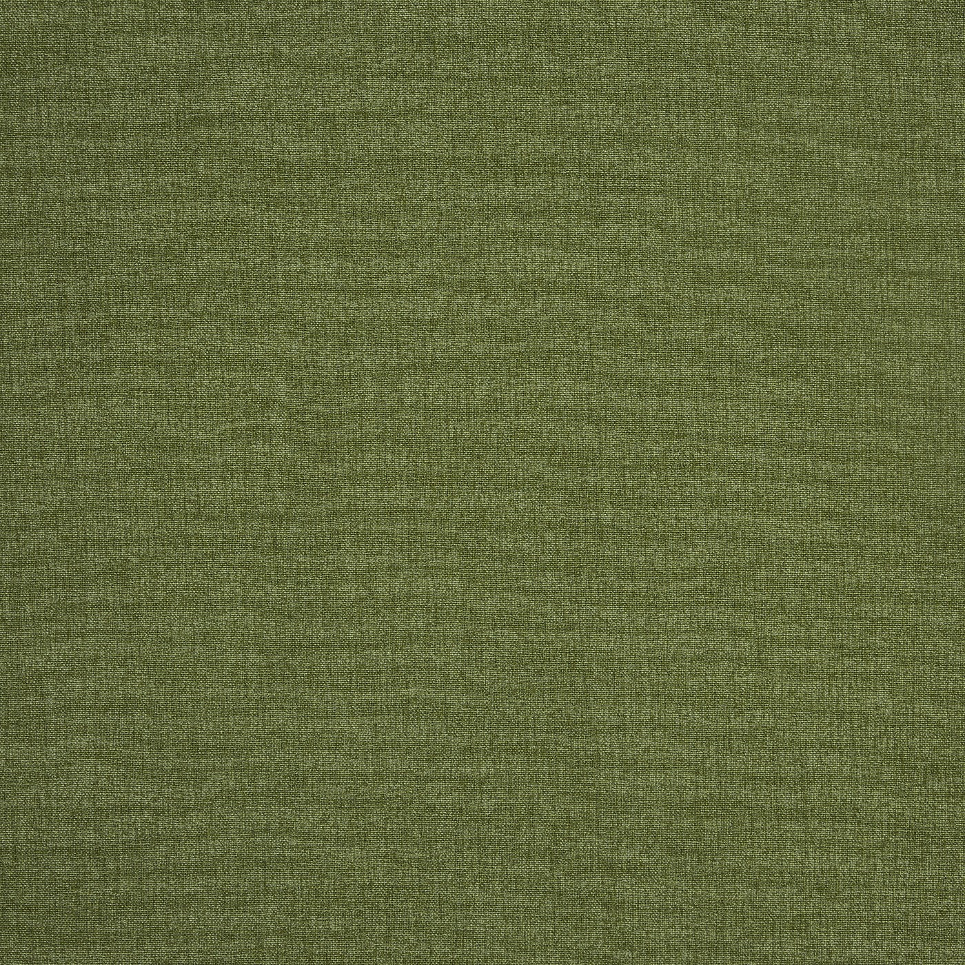 Prestigious Saxon Olive Fabric Swatch