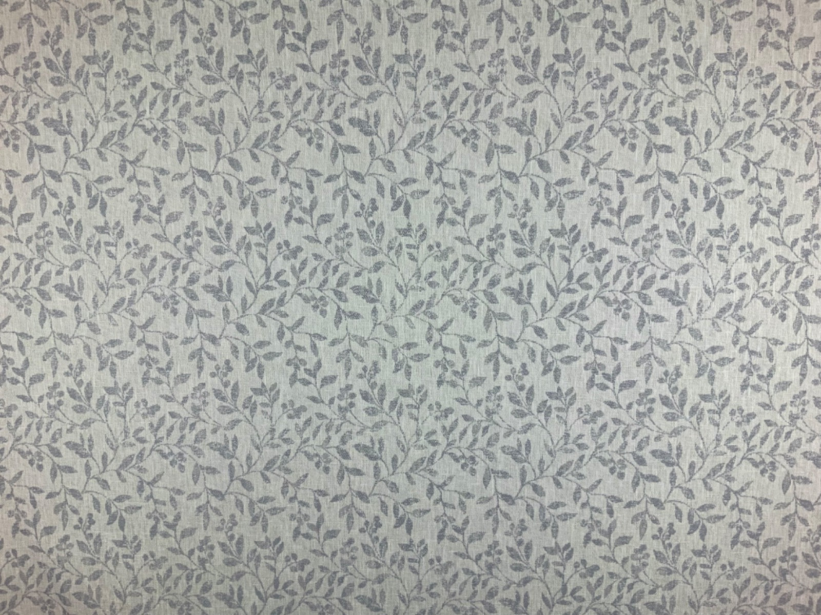 Tex Ex 2733 Darley Dove