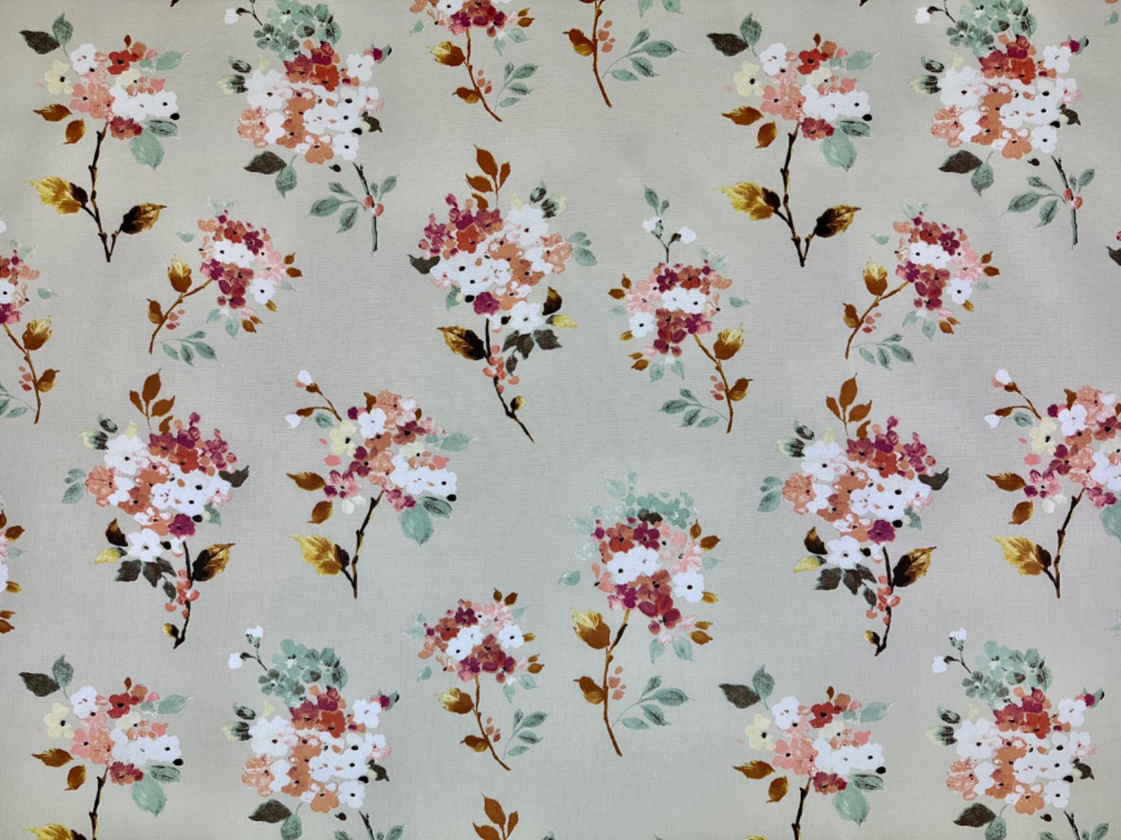 Merewood Apricot Tex Ex 2799